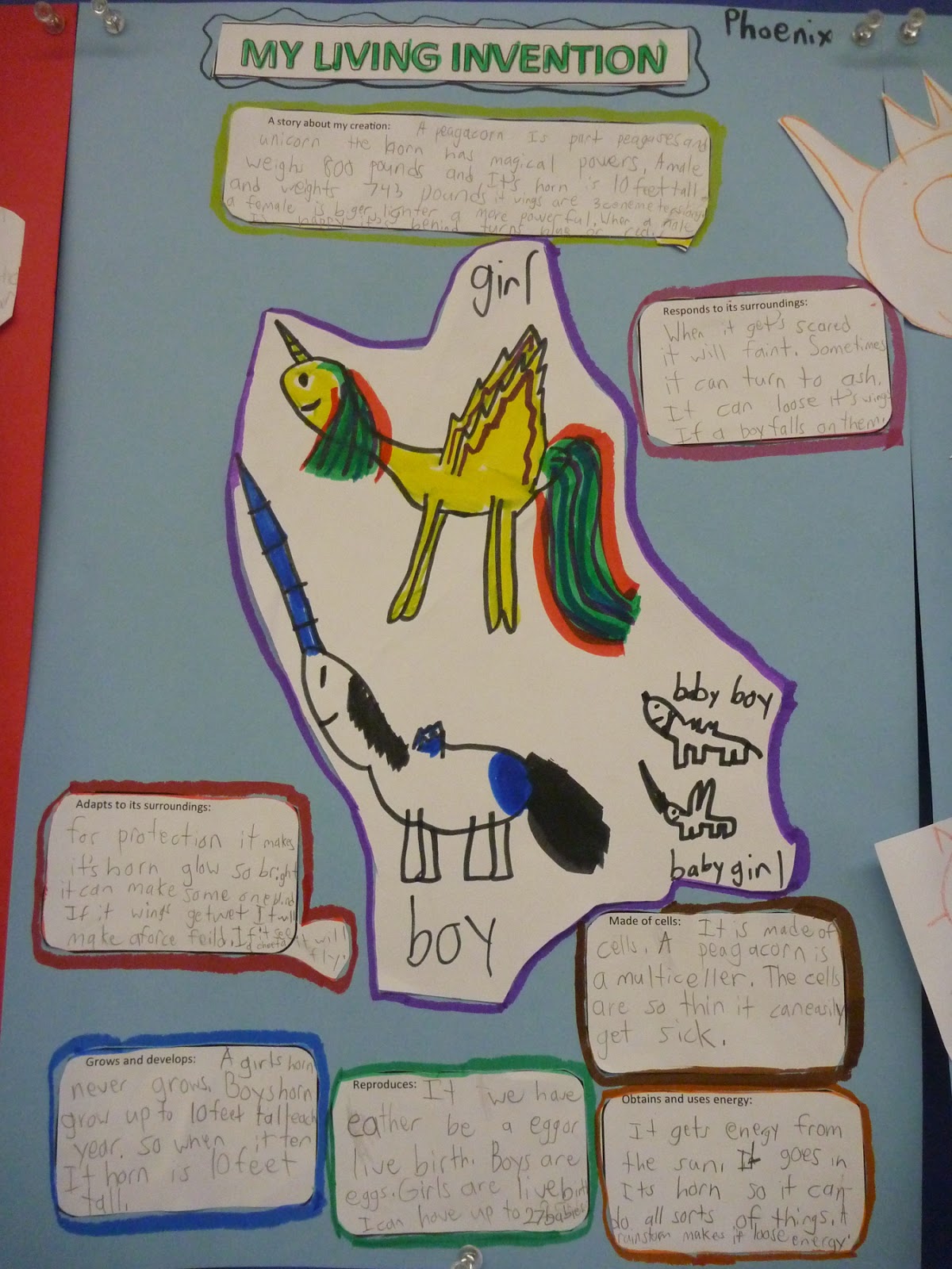 Explorations of a Fourth Grade Teacher: 6 Characteristics of Life - Science