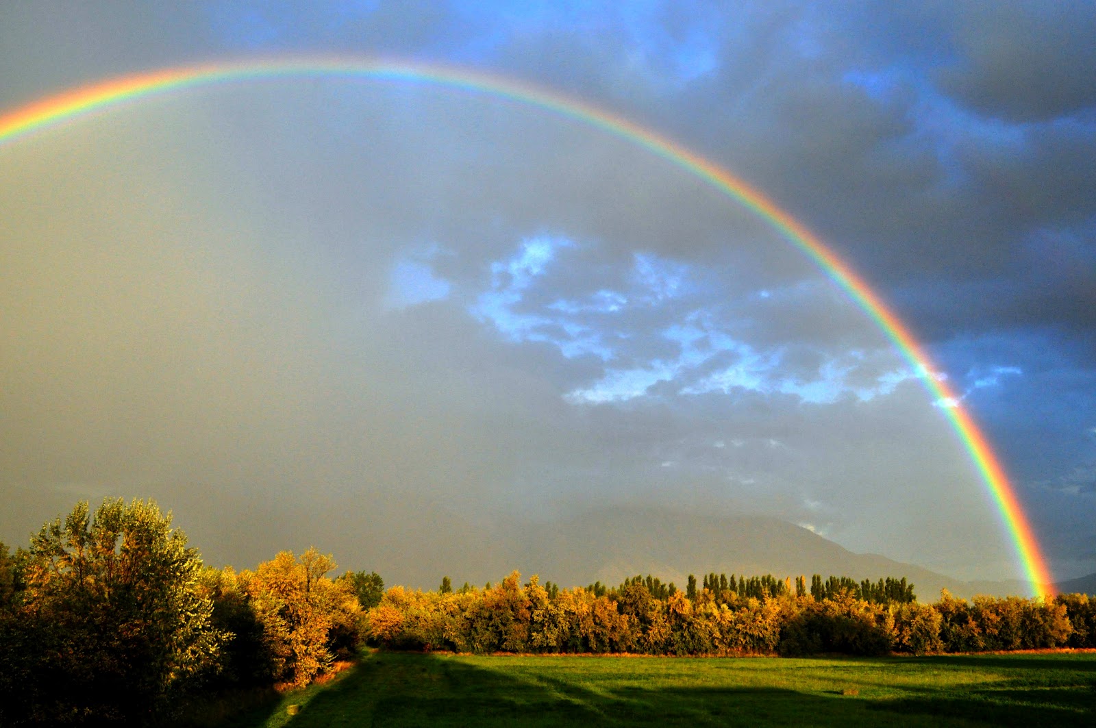 rubowhappenings: Rainbows
