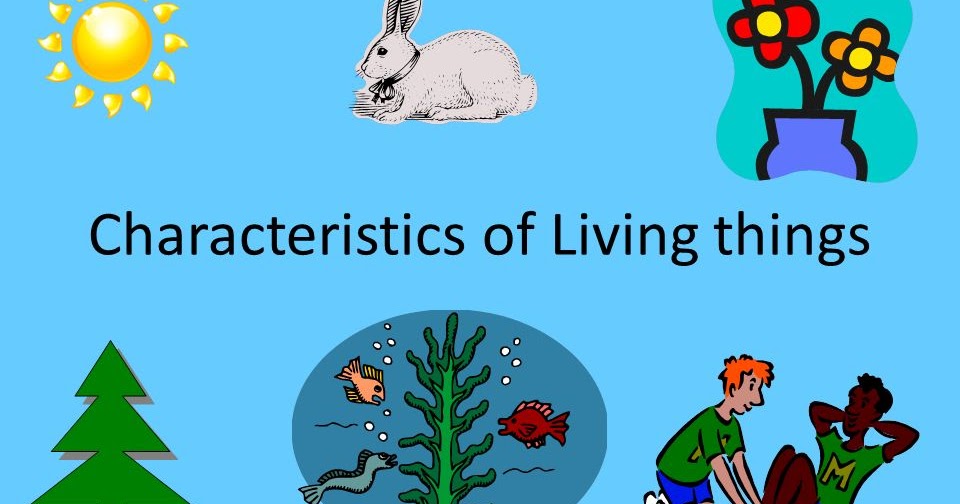 Brain Explorers: All Living Things (Chant)
