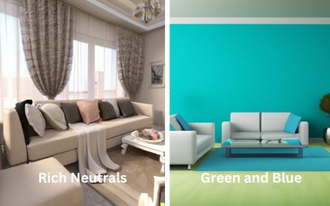 Explore The Latest Living Room Color Trends 2024