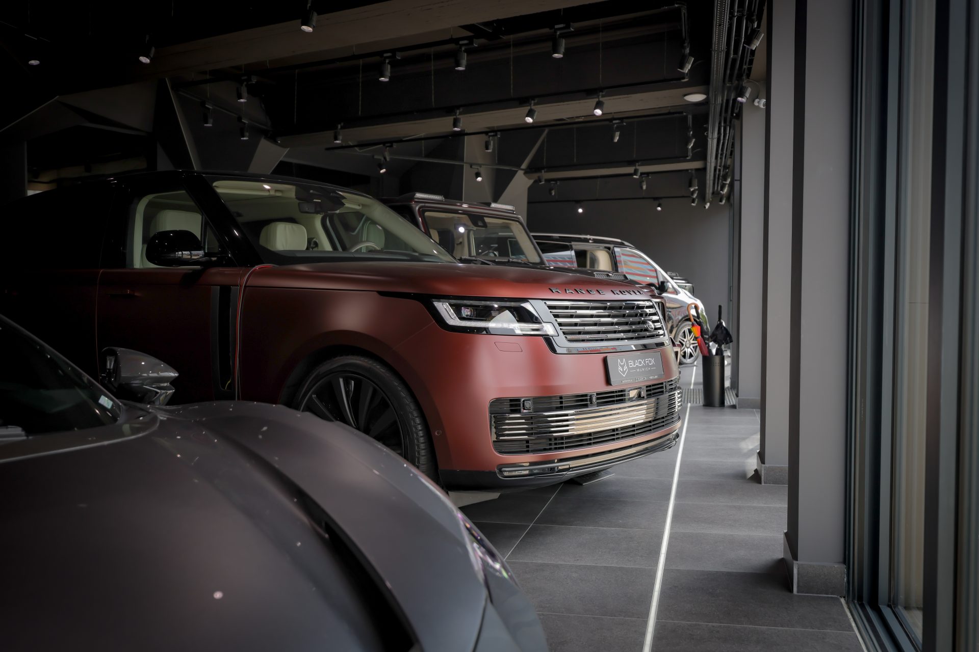 Black Fox | Premium, Power and Performance
