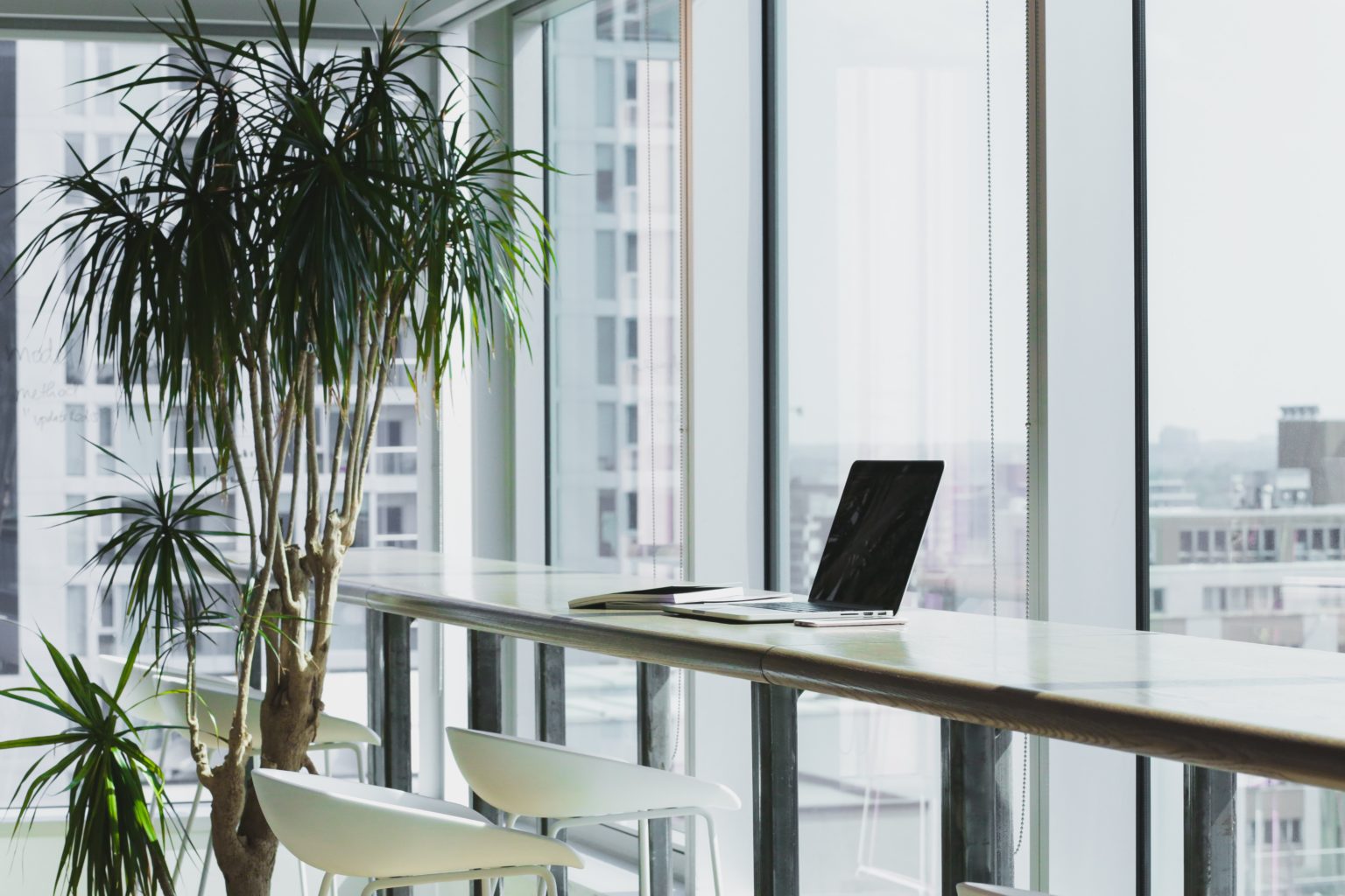 10 Plantes Vertes Sans Entretien à Avoir dans ses Bureaux