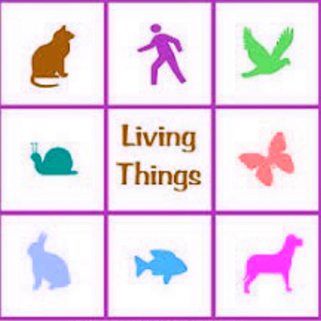 9 Differences Between Living and Non-Living Things - Edoaffairs