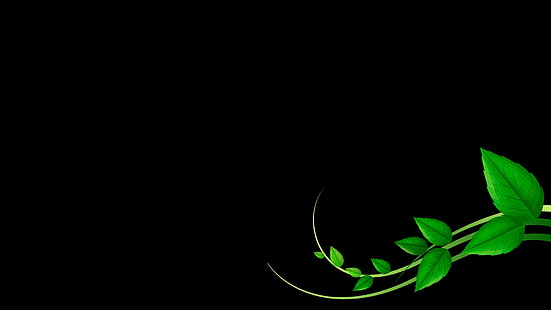 3840x2160px | free download | HD wallpaper: Dark green leaves of ...