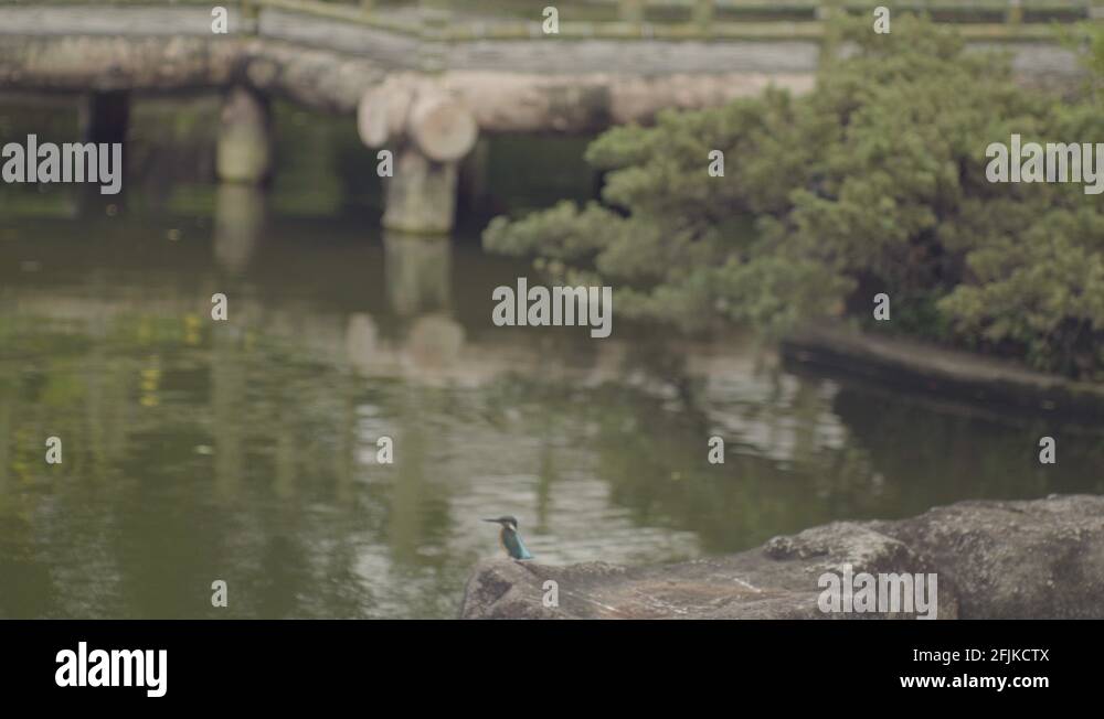 Kingfisher house Stock Videos & Footage - HD and 4K Video Clips - Alamy