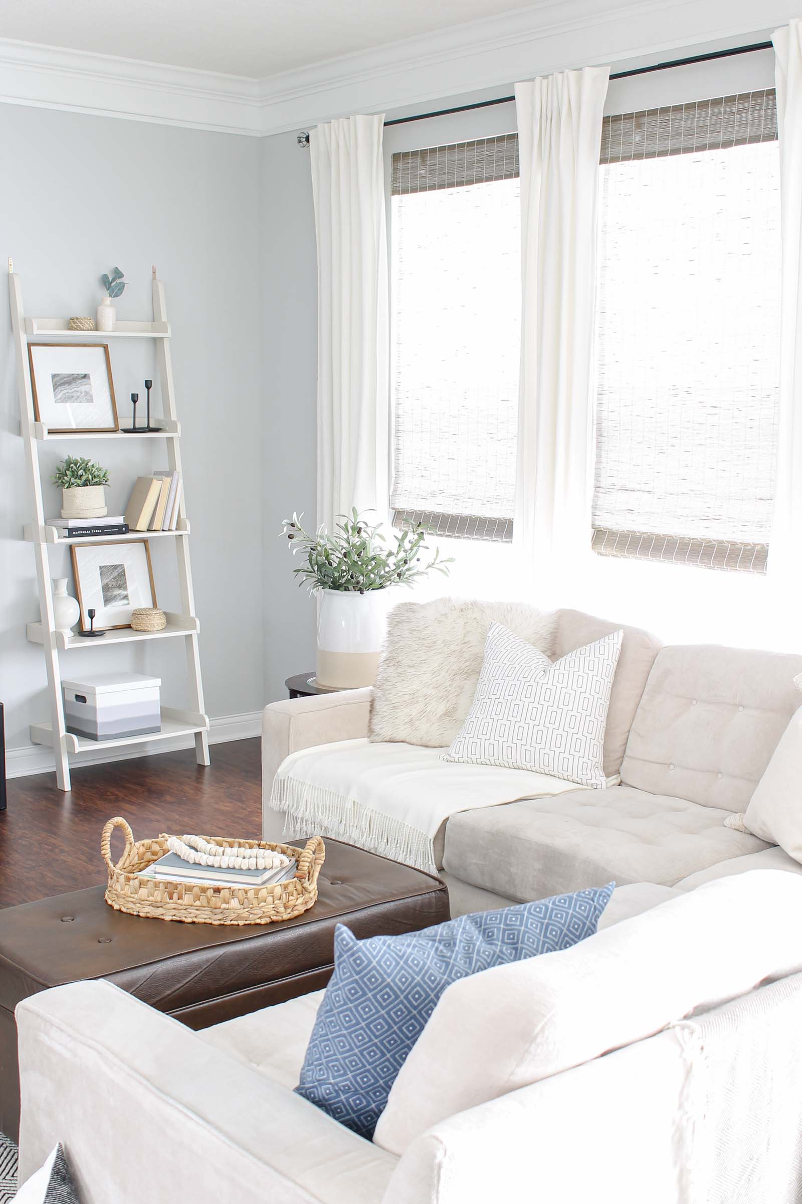 Coastal Living Rooms Decor | Cabinets Matttroy