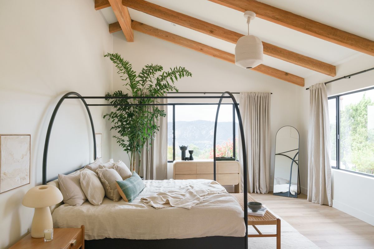 The best indoor trees to bring style to every room | Livingetc
