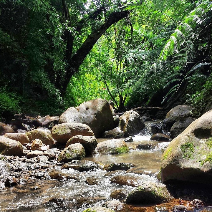 Nature Peaceful Tranquil · Free photo on Pixabay