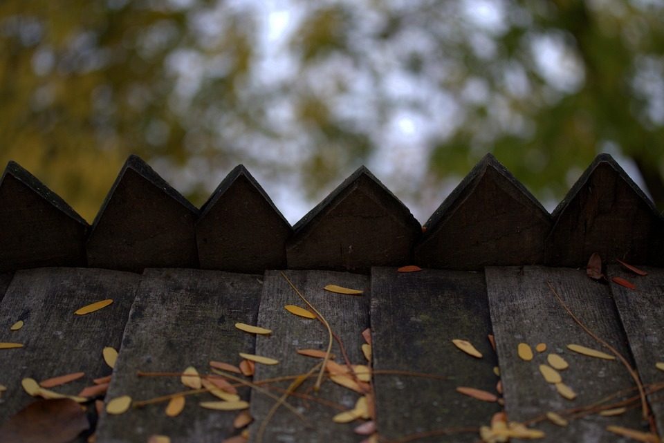 Roof Leaves Wood - Free photo on Pixabay - Pixabay