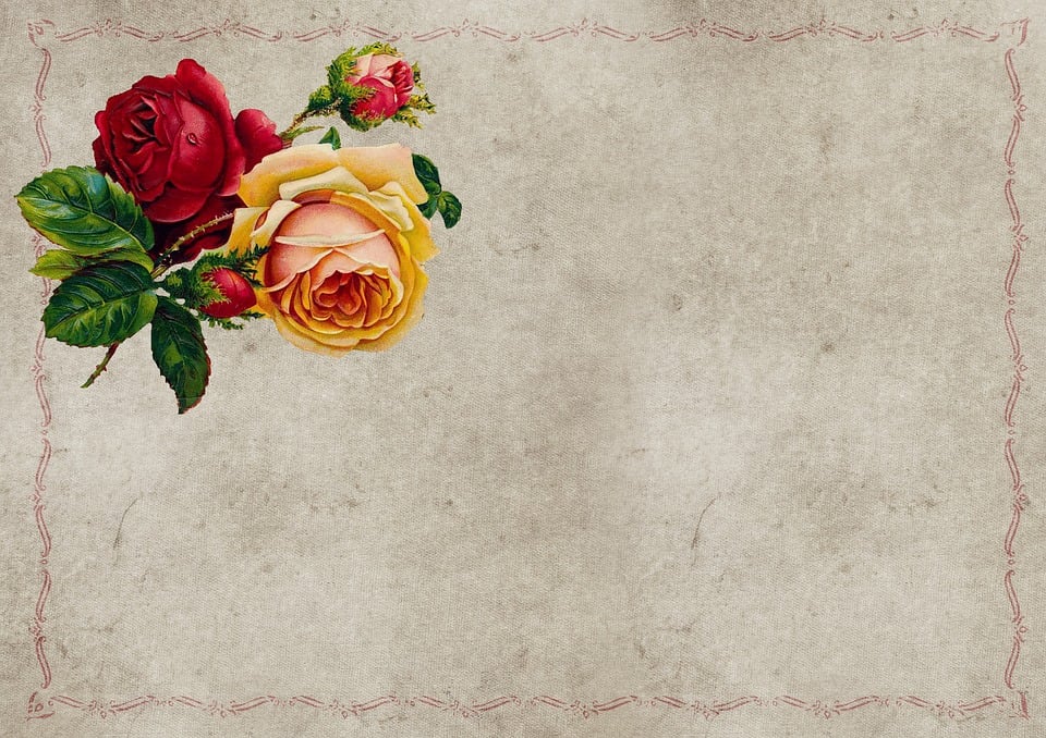 Rosen Papier Vintage - Kostenloses Bild auf Pixabay - Pixabay