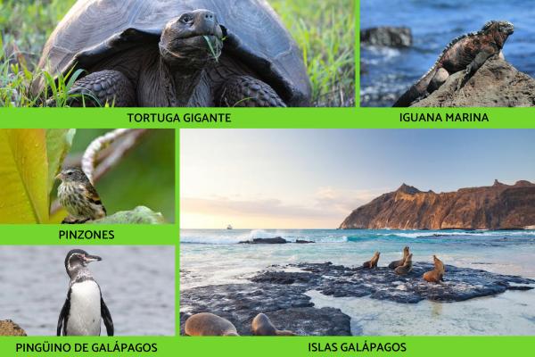 Patrimonio Natural del Ecuador - Qué es y ejemplos
