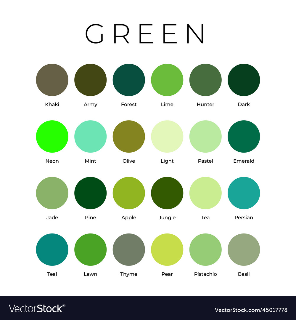 Green color shades swatches palette with names Vector Image