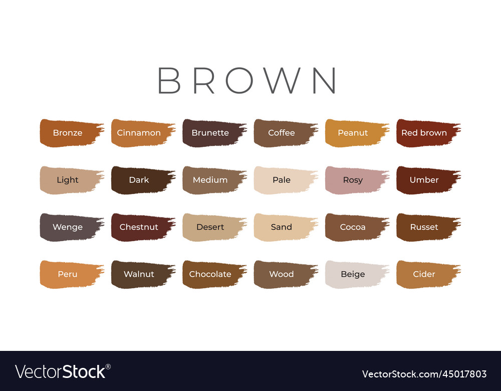 Brown paint color swatches with shade names Vector Image