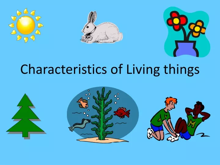 PPT - Characteristics of Living things PowerPoint Presentation, free ...