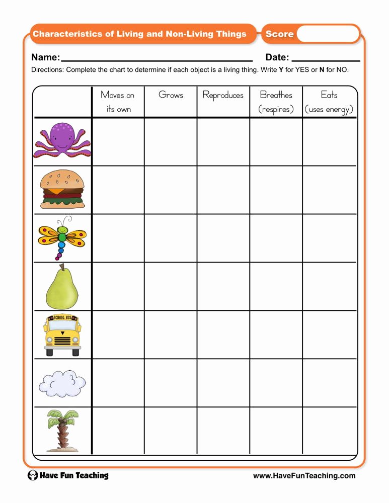 50 Characteristics Of Living Things Worksheet – Chessmuseum Template ...