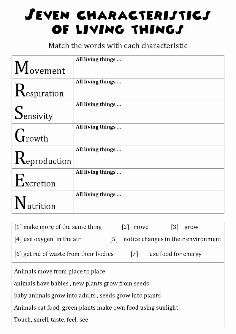 50 Characteristics Of Living Things Worksheet – Chessmuseum Template ...