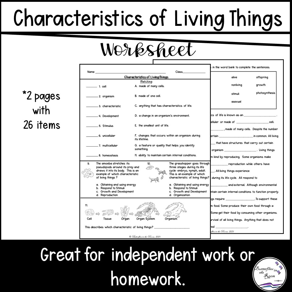 Characteristics of Living Things Worksheet - Classful