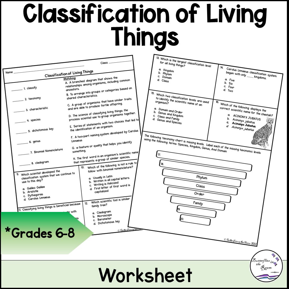 Classification of Living Things Worksheet - Classful