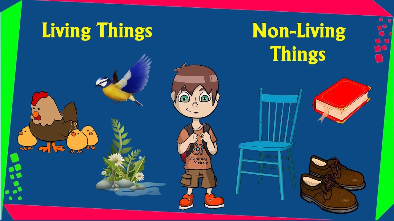 Living Things and Non Living Things - ClassNotes.ng