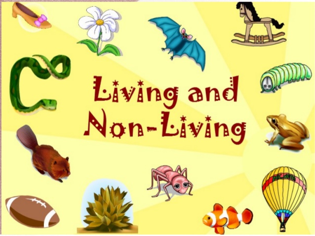 Living Things and Non-Living Things - ClassNotes.ng