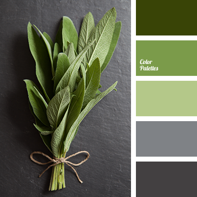 light green and gray | Color Palette Ideas