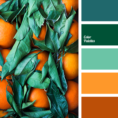 orange colour | Color Palette Ideas