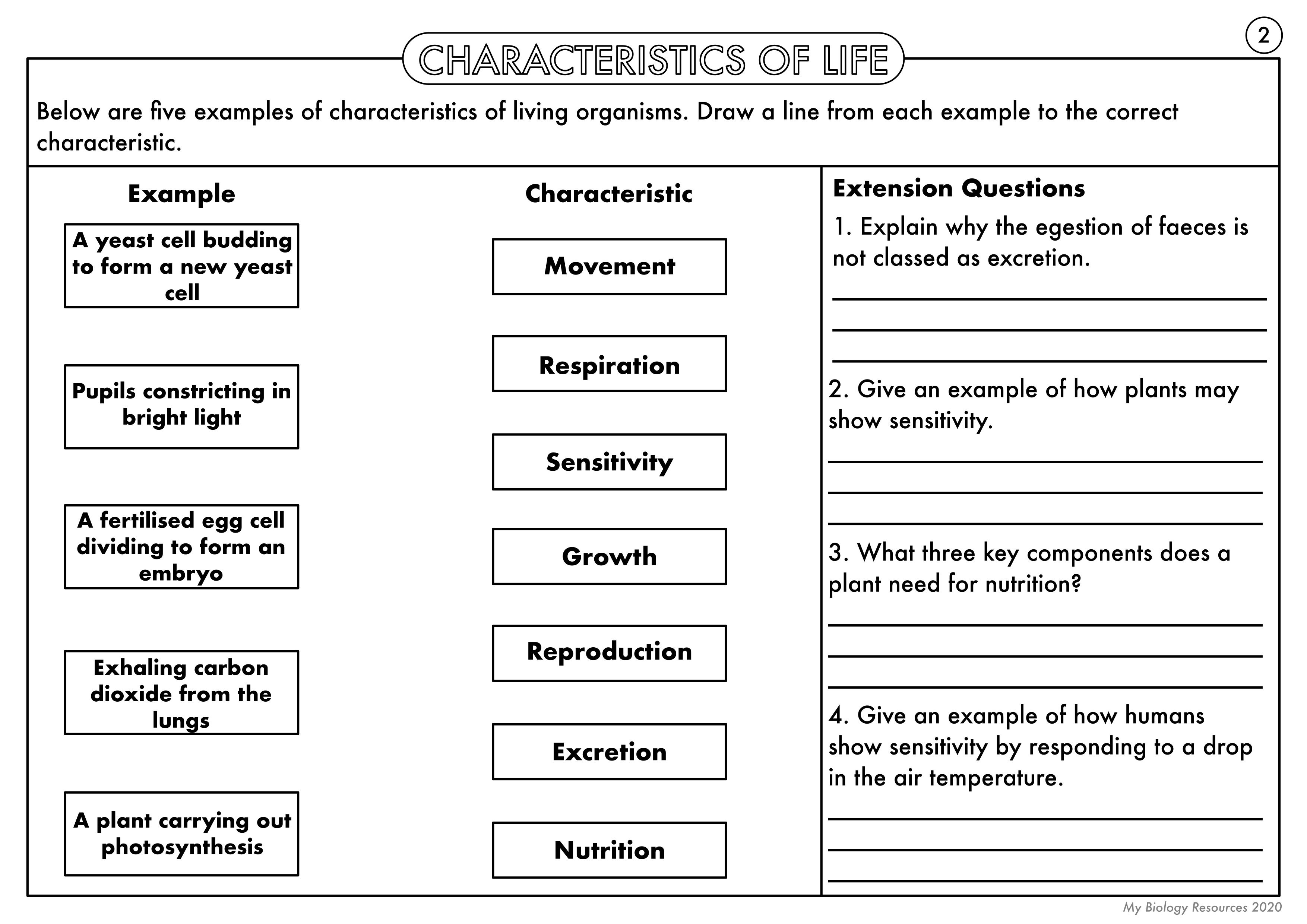 Characteristics Of Life Worksheet Answers – E-streetlight.com