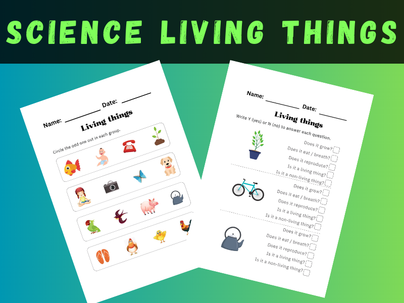 Science Living Things Worksheets | Teaching Resources