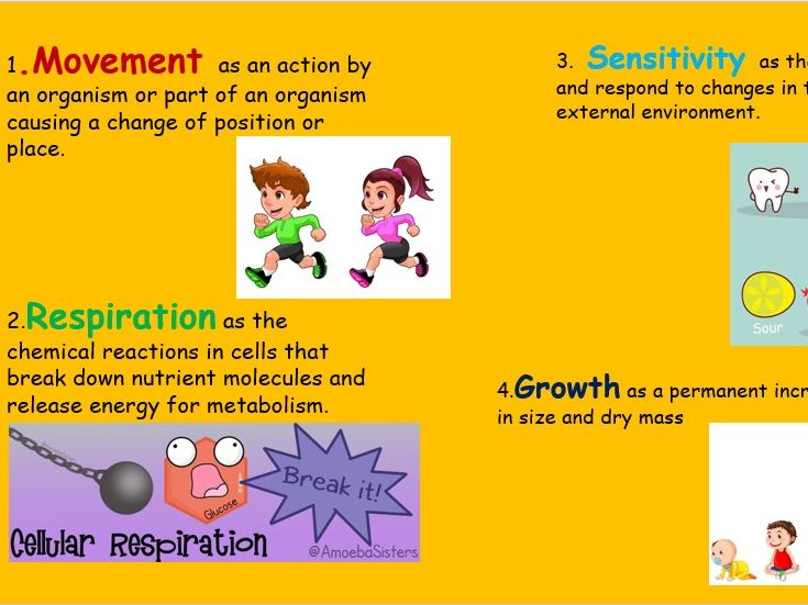 Characteristics of Living Organisms | Teaching Resources