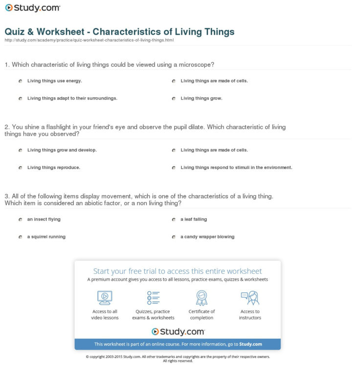 Characteristics Of Living Things Worksheet — db-excel.com
