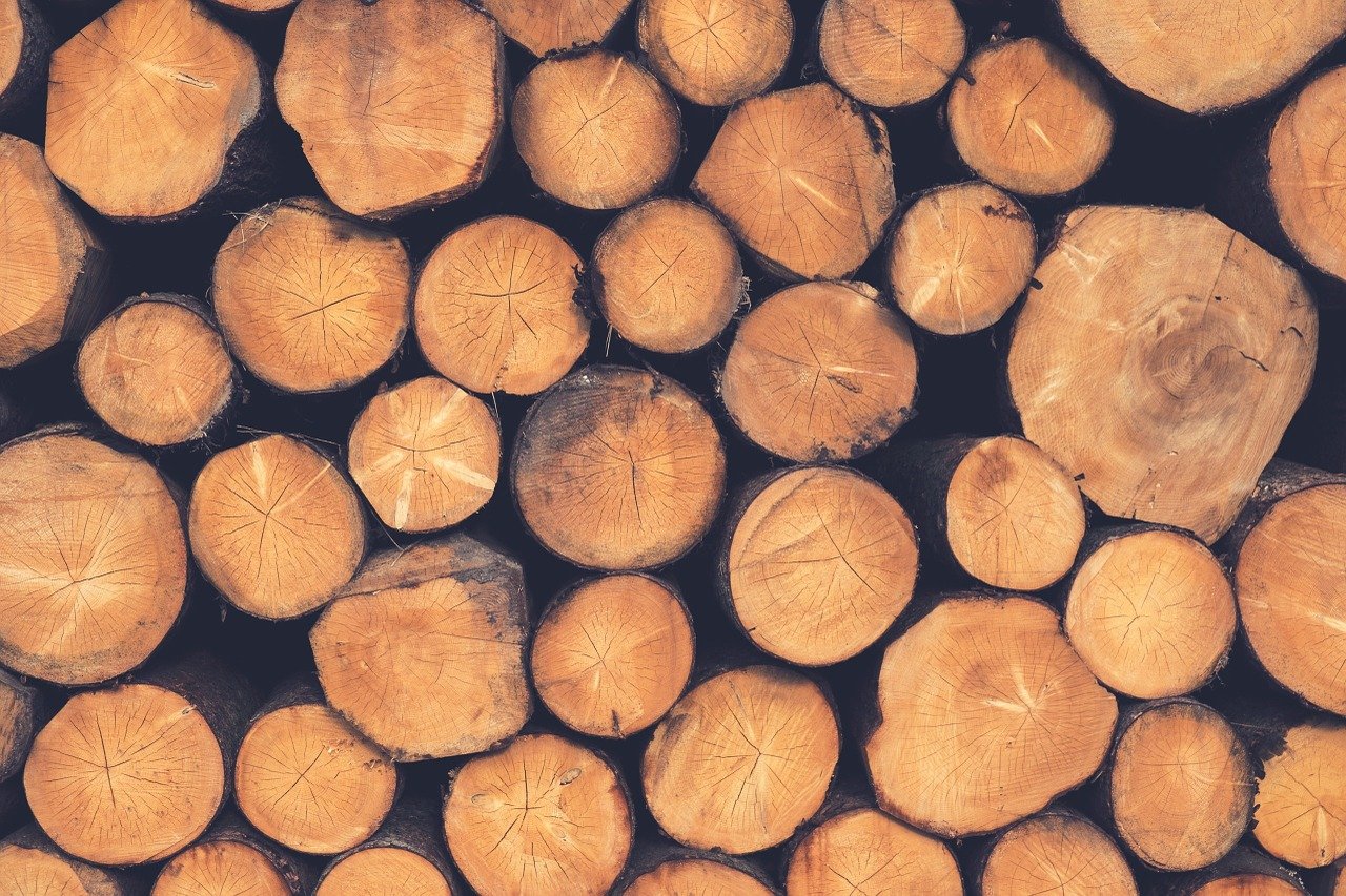 5 Reasons Why Wood Is The Greenest Furniture Choice - DCI Furniture