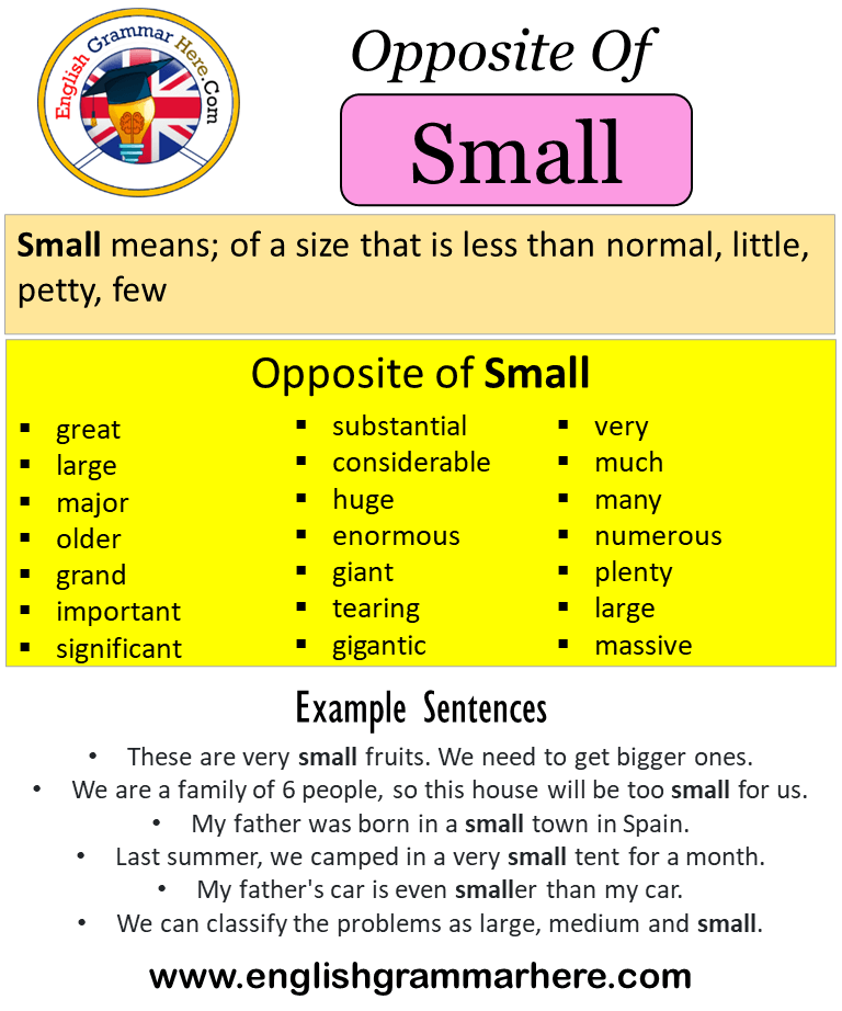 Small small – Telegraph