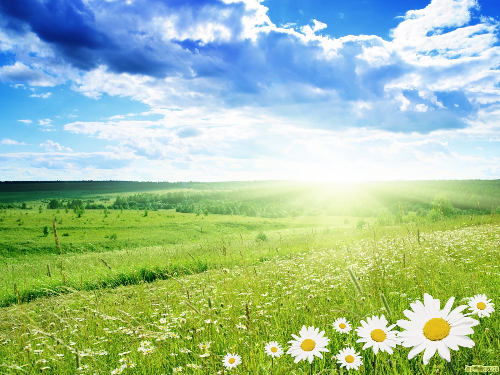 Natural wallpaper | 1600x1200 | #79702