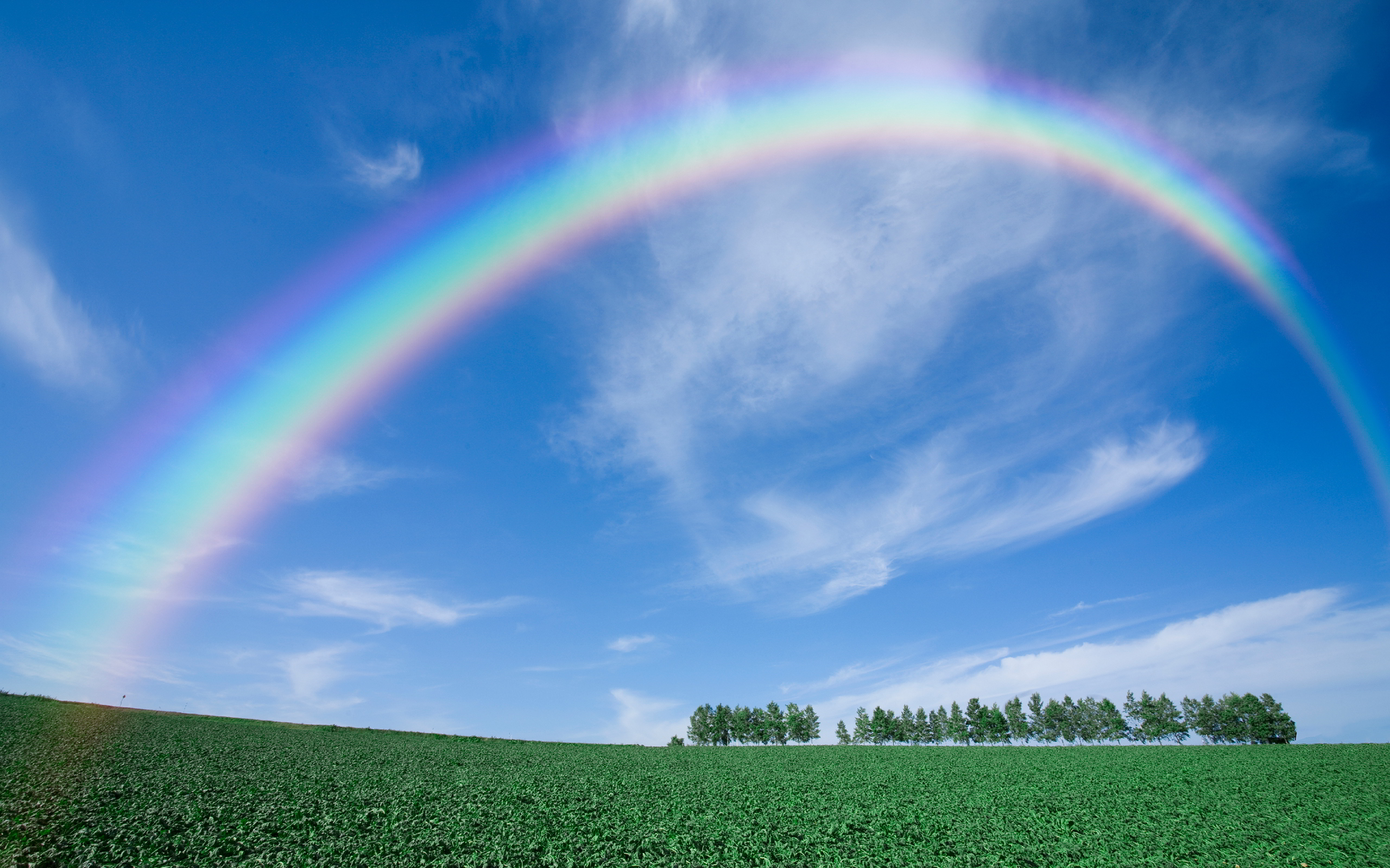 Rainbow wallpaper | 1920x1200 | #42237