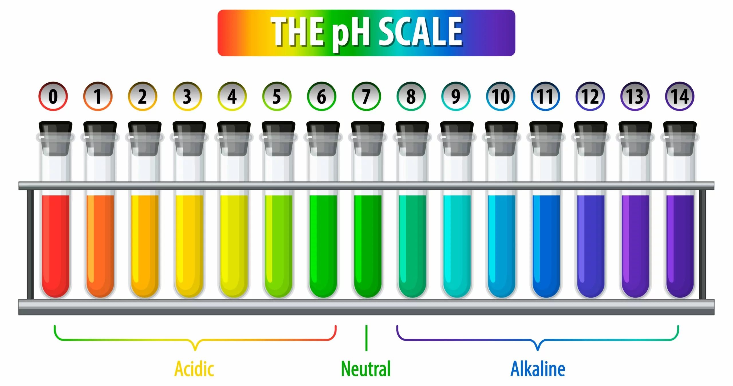 15 Mind-blowing Facts About PH Scale - Facts.net