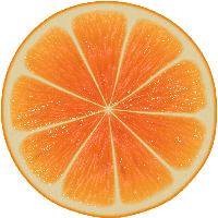 Orange Png Image Download Transparent HQ PNG Download | FreePNGImg