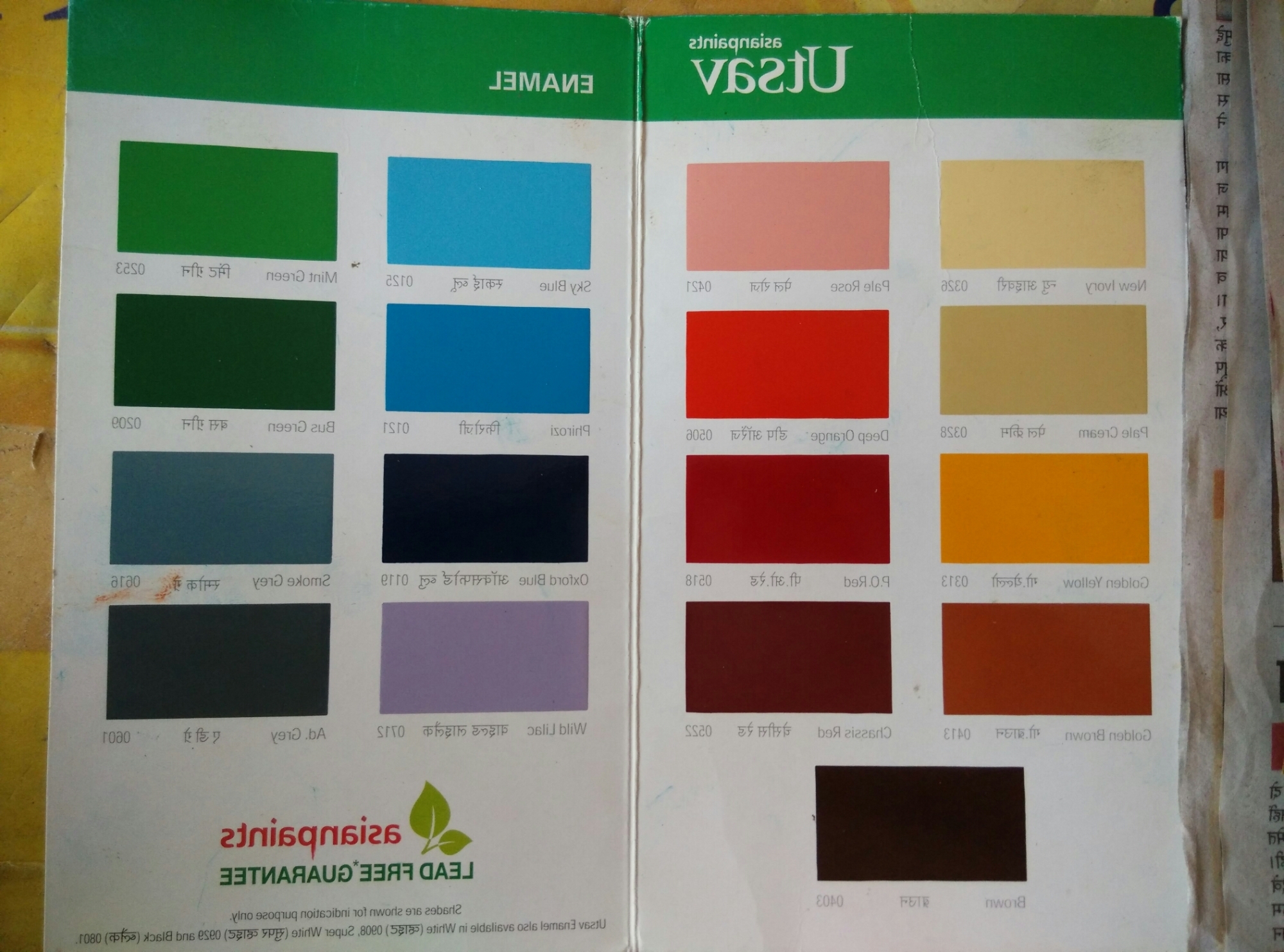 Wall colour shade cards | Hawk Haven