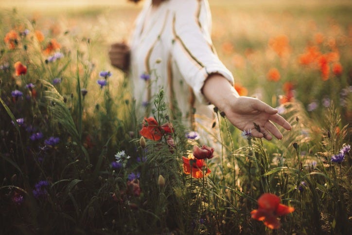 Embracing Slow Living: Finding Joy In The Simple Moments