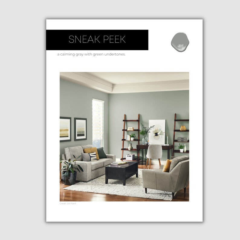 Anew Gray Sherwin Williams Paint Palette Neutral Interior - Etsy
