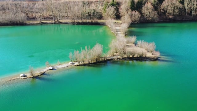 Kingfisher Videos: Download 7+ Free 4K & HD Stock Footage Clips - Pixabay