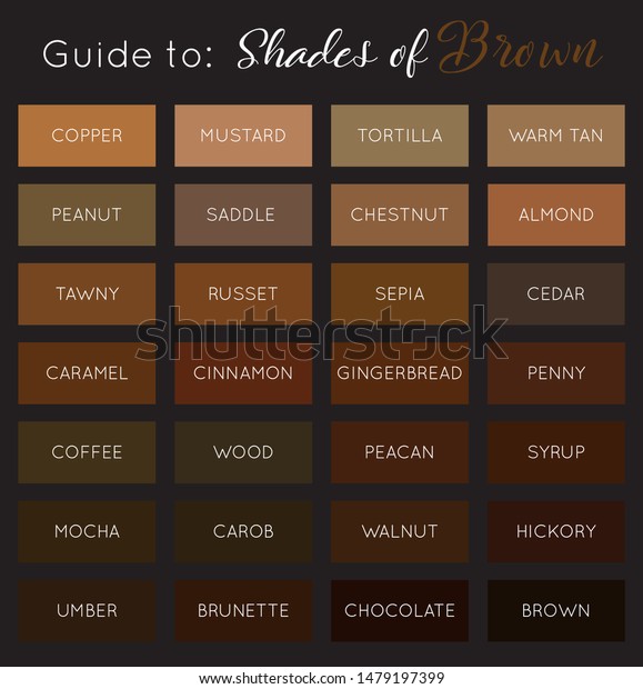 Shades Brown Vector Brown Color Palette Stock Vector (Royalty Free ...