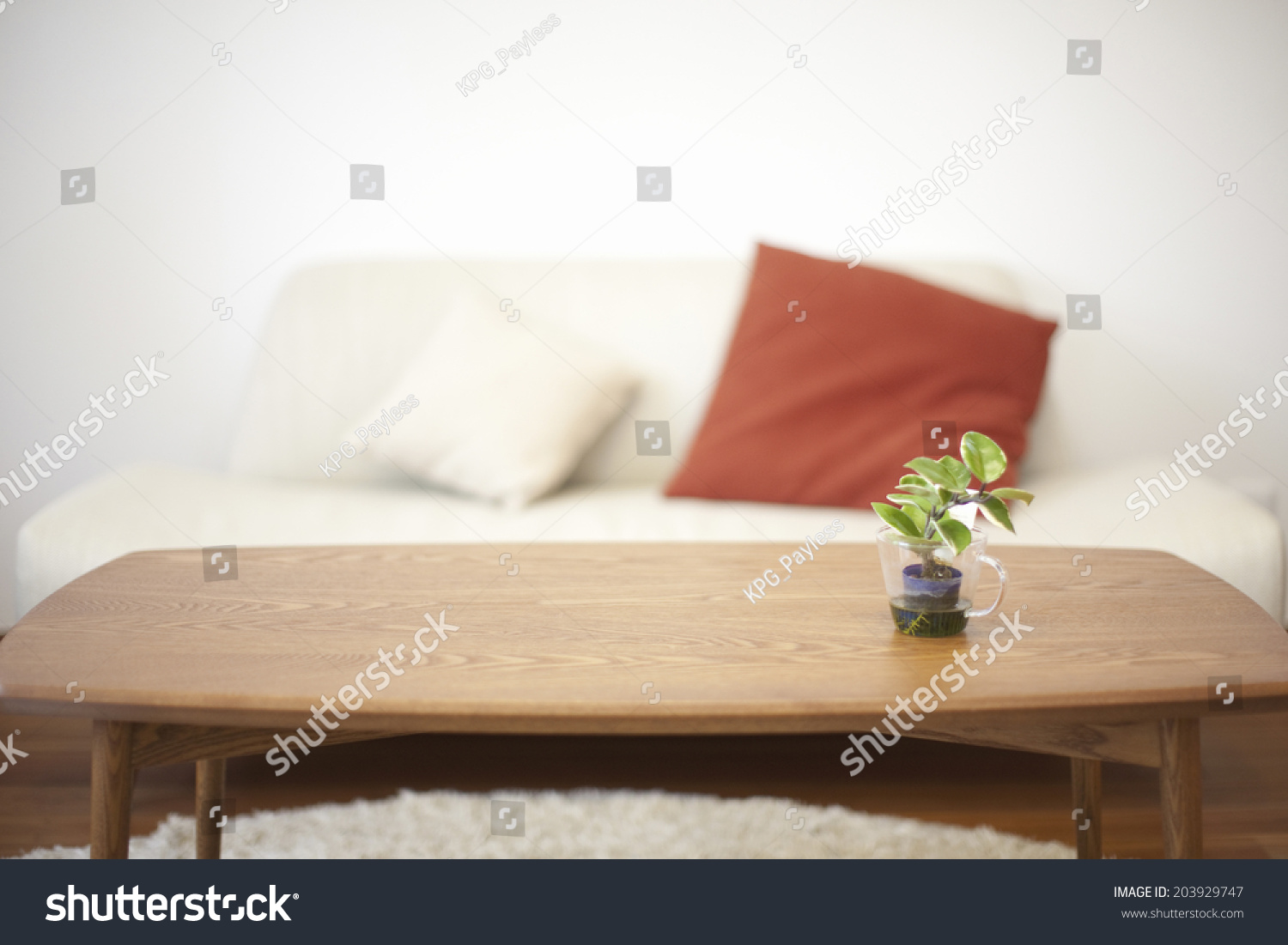 Image Living Room Stock Photo 203929747 | Shutterstock