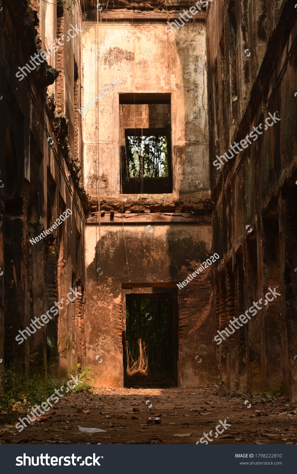 Warmtones Images, Stock Photos & Vectors | Shutterstock