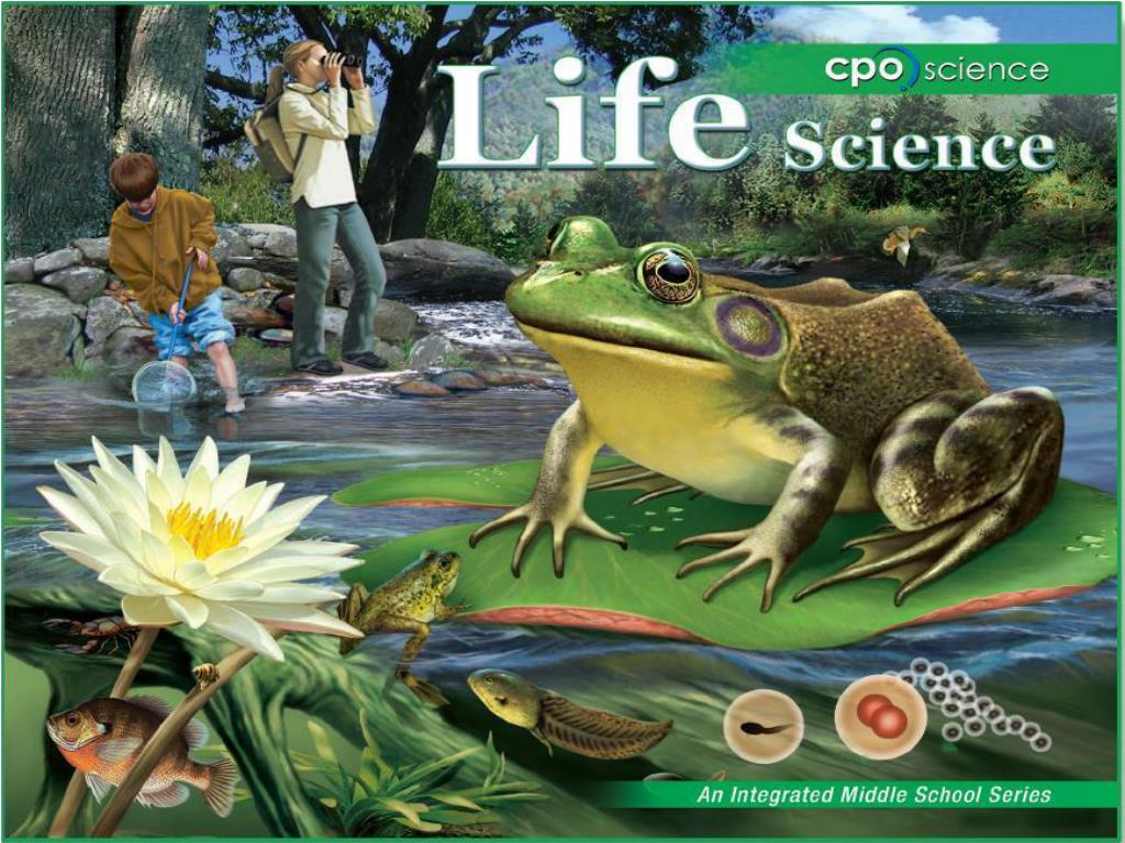 PPT - Structure and Function in Living Things PowerPoint Presentation ...