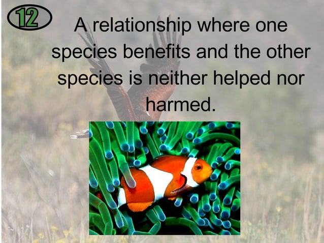 1.3 Interactions Among Living Things | ODP