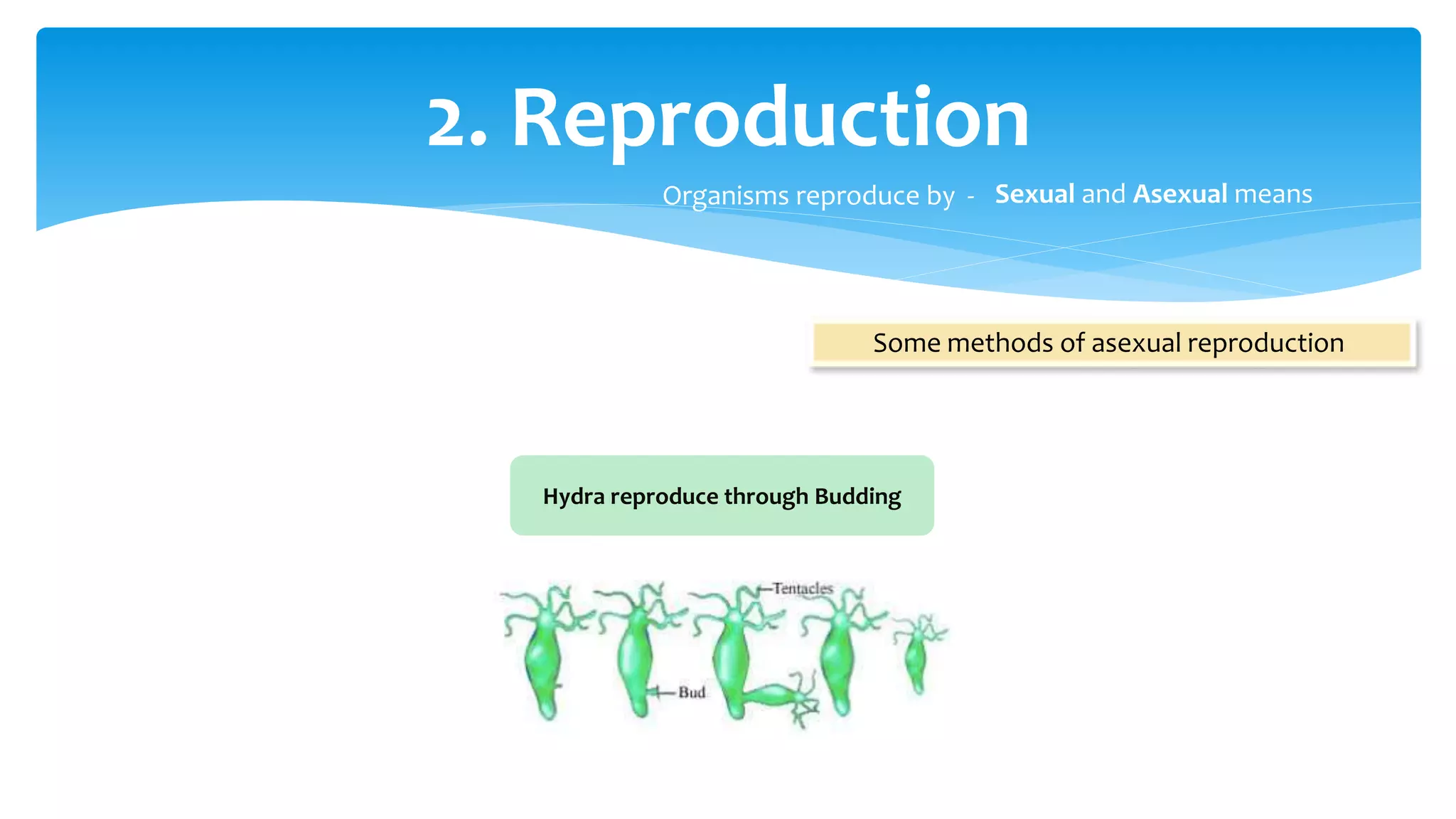 Characteristics of living organisms | PPT