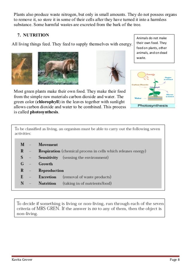 Characteristics Of Living Things Worksheet – E-streetlight.com
