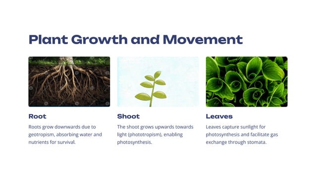 Living-Creatures-Exploring-Their-Characteristics.pdf 6th class science ...