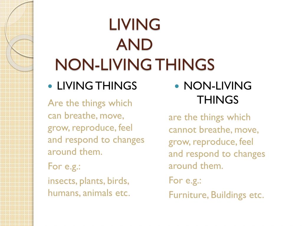 PPT - Living and Non-Living Things PowerPoint Presentation, free ...