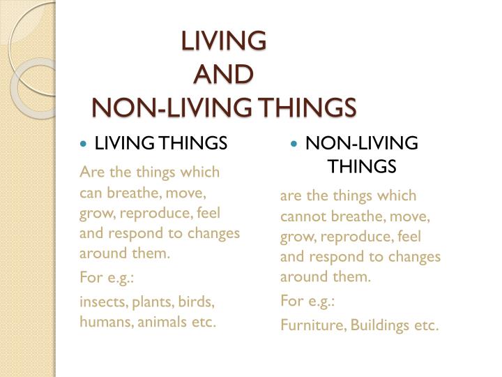 Difference Between Living Things And Non Living Things Livin